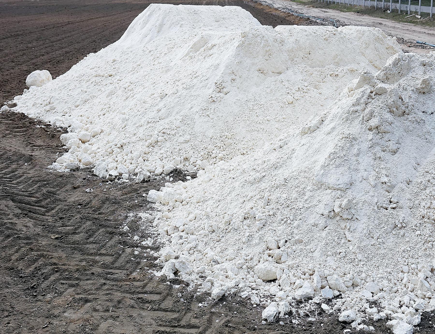 Wapnowanie plantacji maliny najlepiej wykonać jesienią