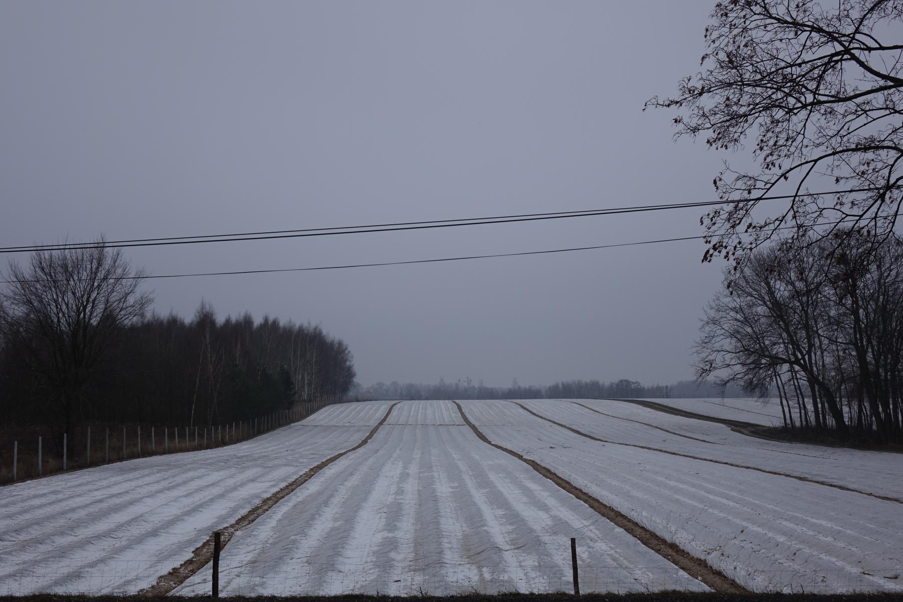Uwaga na nadchodzącą falę mrozów! Uwaga na falę mrozów!
