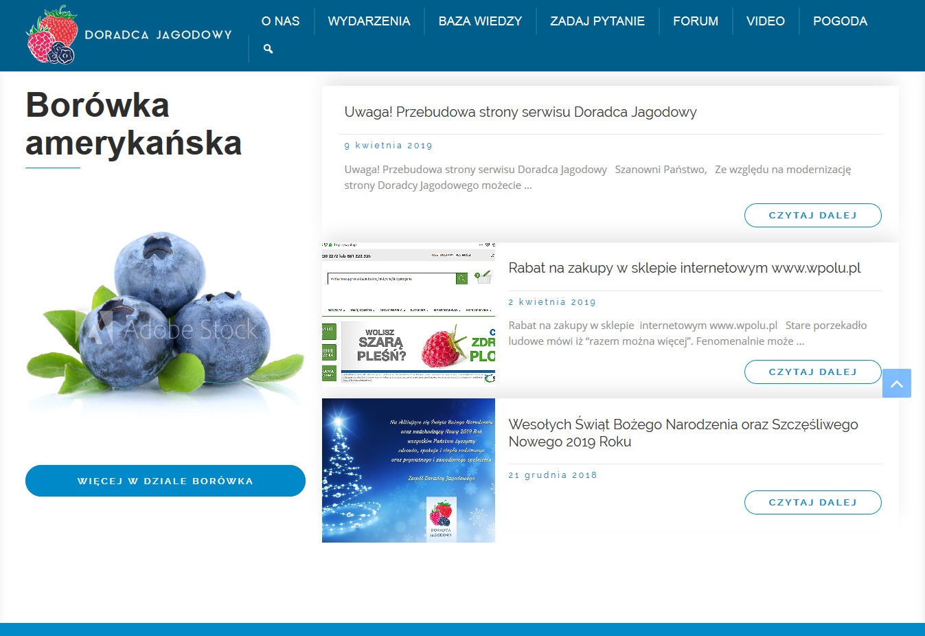 Uwaga! Przebudowa strony serwisu Doradca Jagodowy