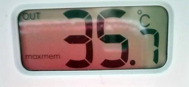 Nawadnianie i fertygacja w okresie upałów, 16.06.2019