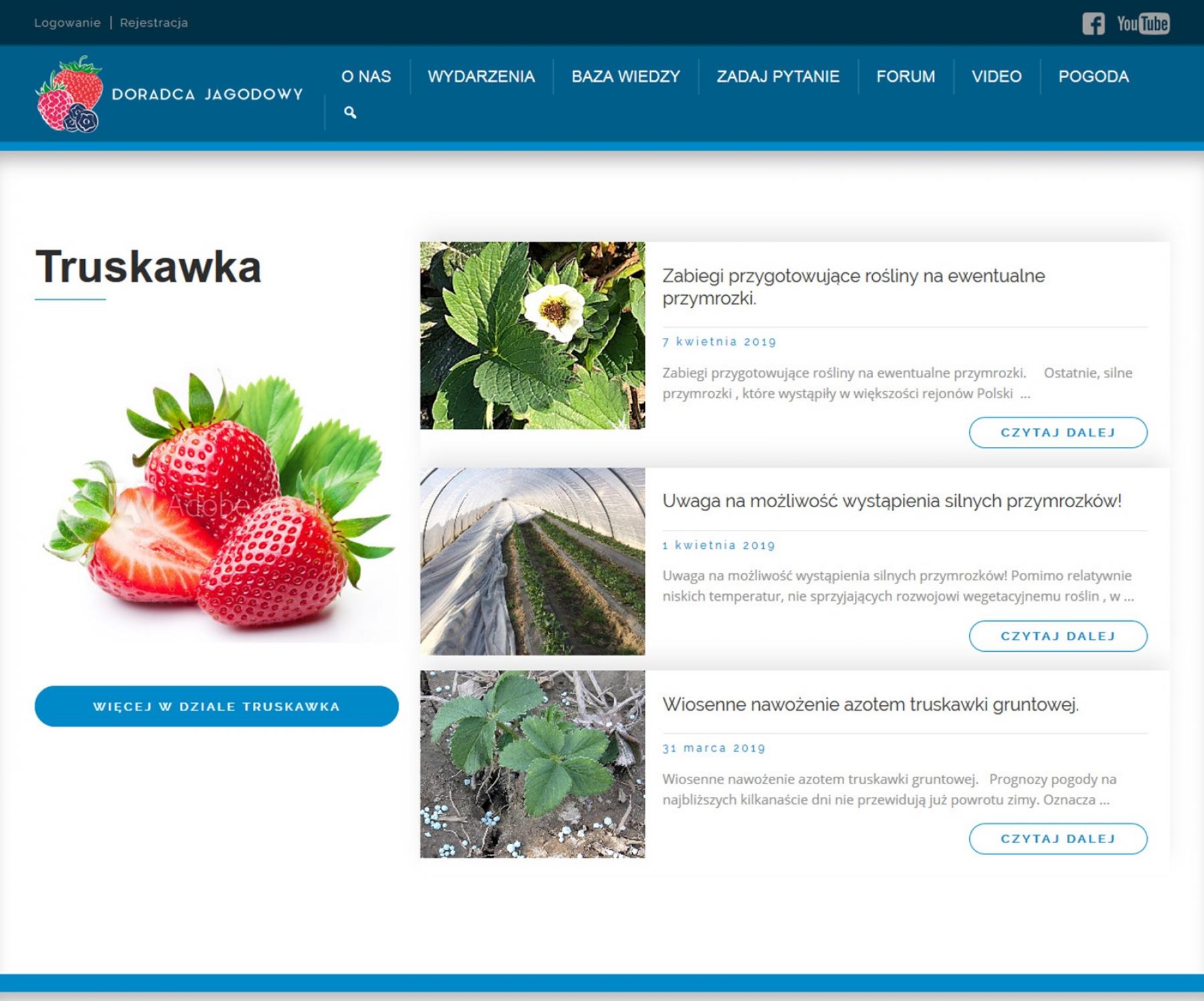 Modernizacja strony internetowej www.doradcajagodowy.pl