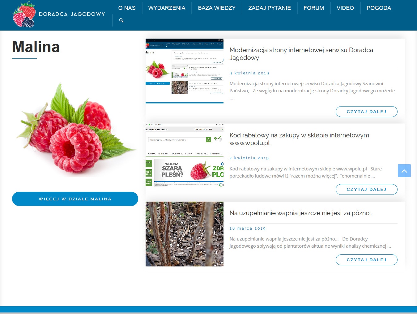 Modernizacja strony internetowej serwisu Doradca Jagodowy