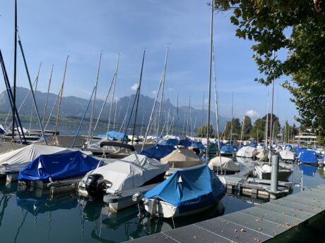 Truskawki po szwajcarsku, Walperswil 17-20.09.2020