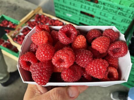 Maliny po szwajcarsku, Walperswil 17-20 wrzesień 2020