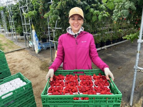 Maliny po szwajcarsku, Walperswil 17-20 wrzesień 2020