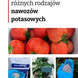 Efektywność różnych rodzajów nawozów potasowych