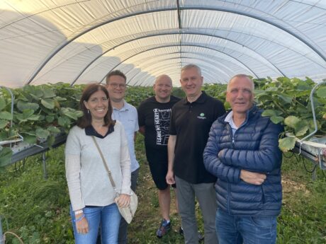 Projekt G4TF w jagodowych w Polsce- Certis Belchim