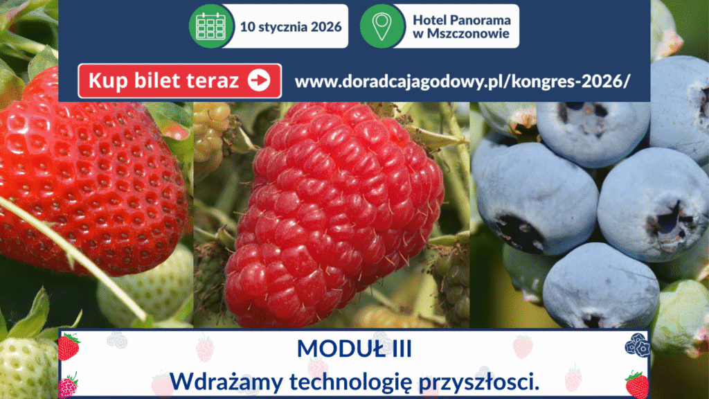 technologia przyszłosći duza