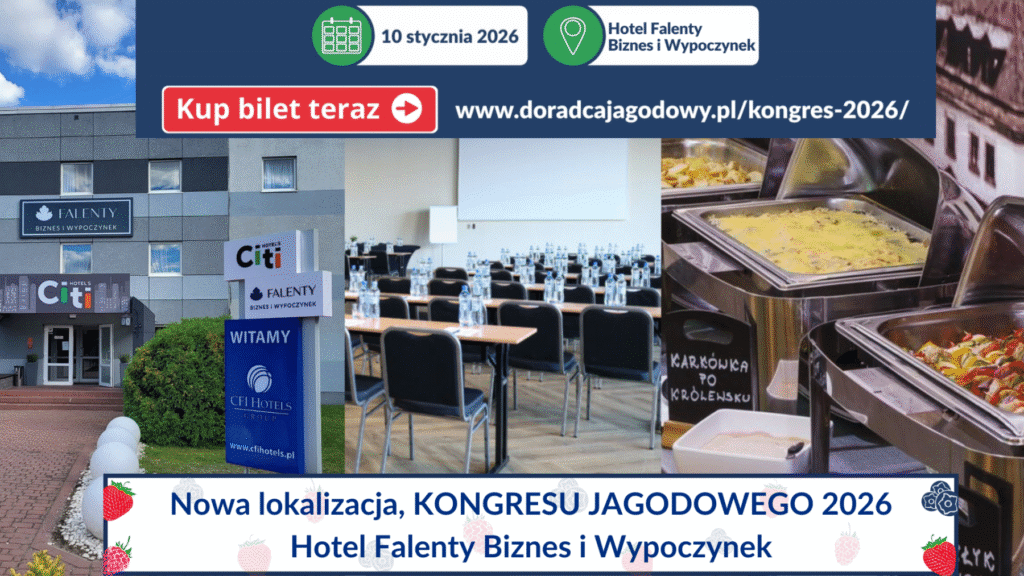 nowa lokalizacja duza