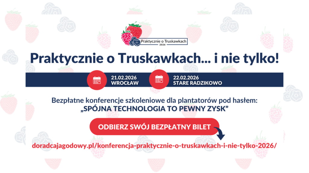 Praktycznie o Truskawkach plansza główna