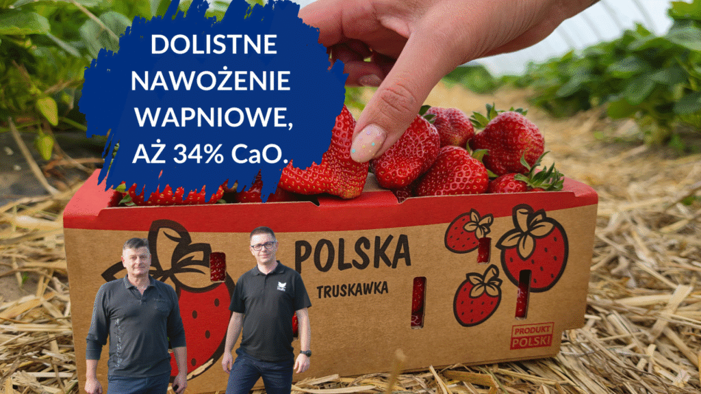 Dolistne nawozenie wapniowe - duże