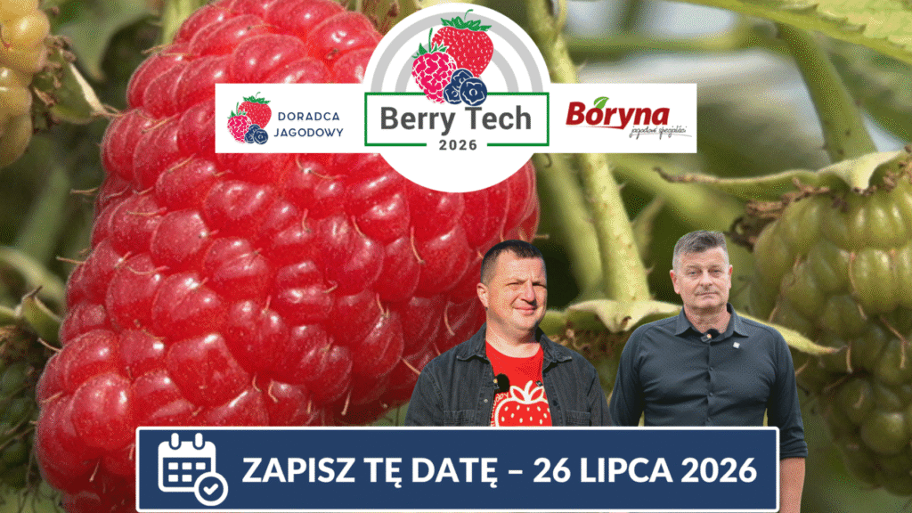Berry Tech malina duże
