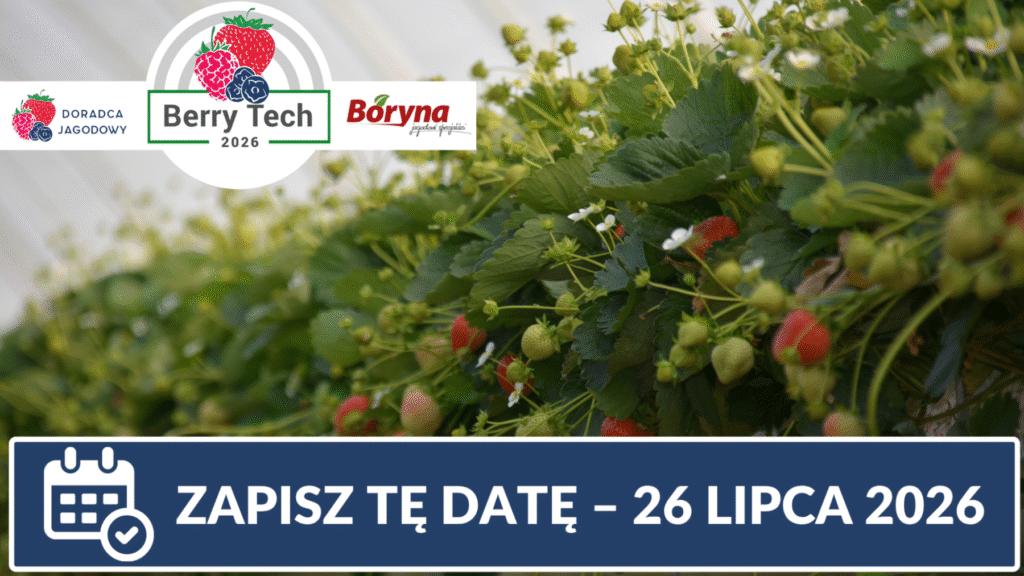 truskawka Berry Tech 2026 full