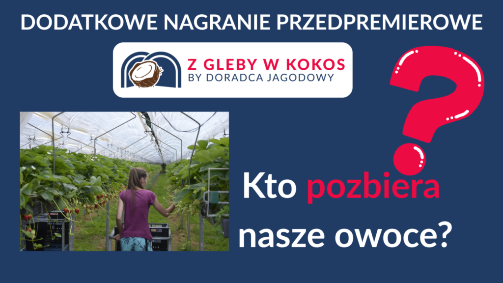 Kto pozbiera nasze owoce