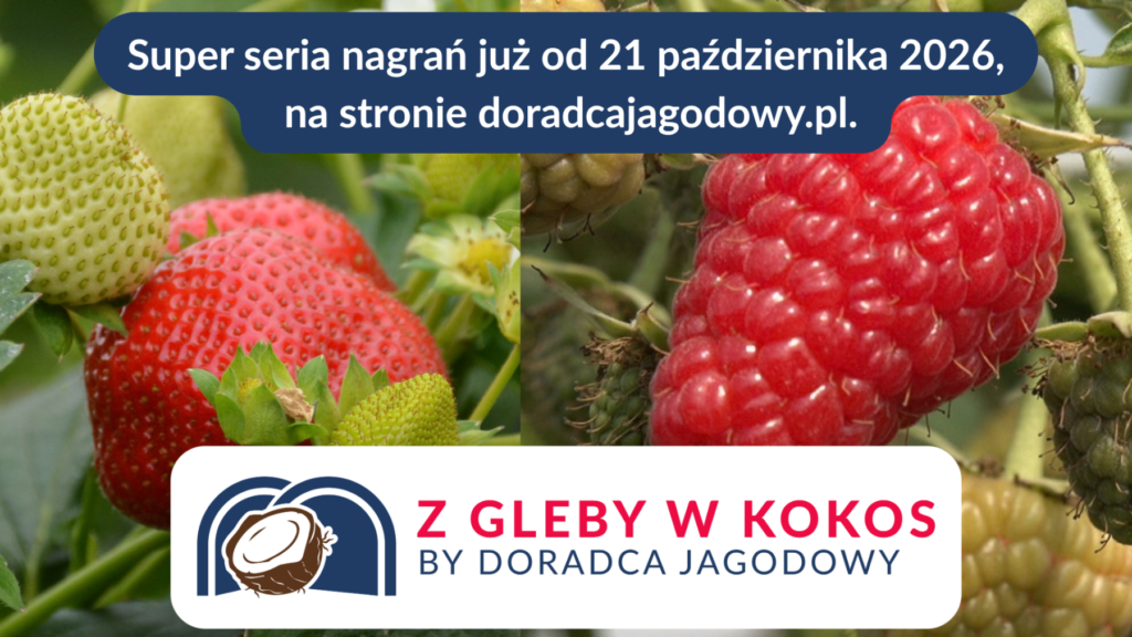 Obrazek 1 zapowiedź