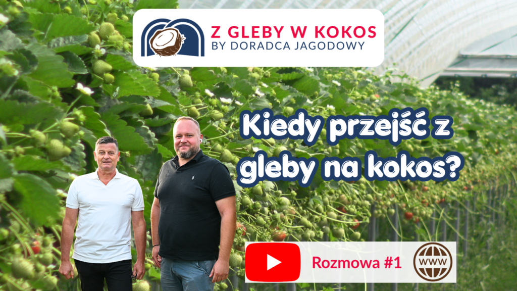 Obrazek rozmowa 1