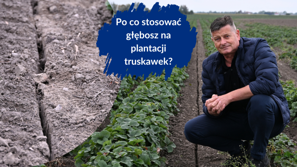 Po co stsować głębosz
