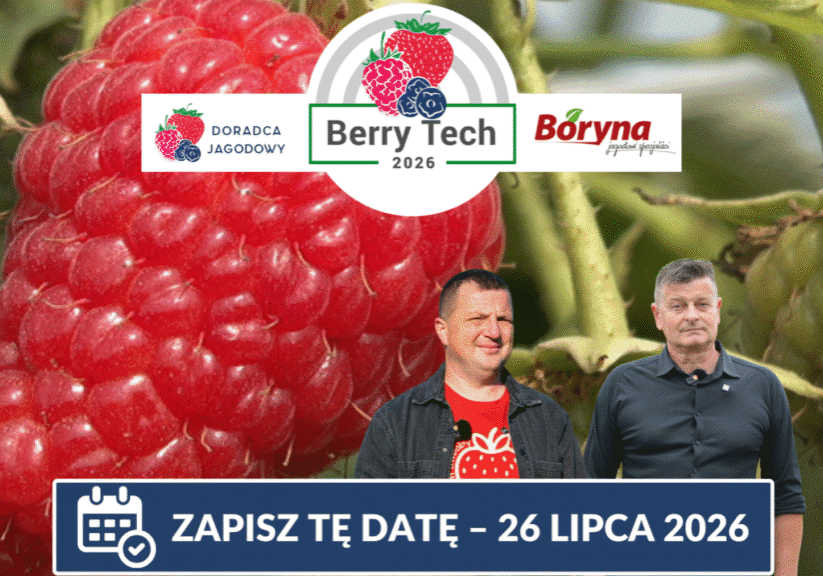 Berry Tech malina duże