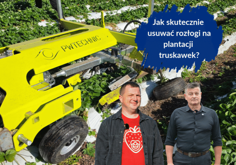 Jak usuwać rozłogi full
