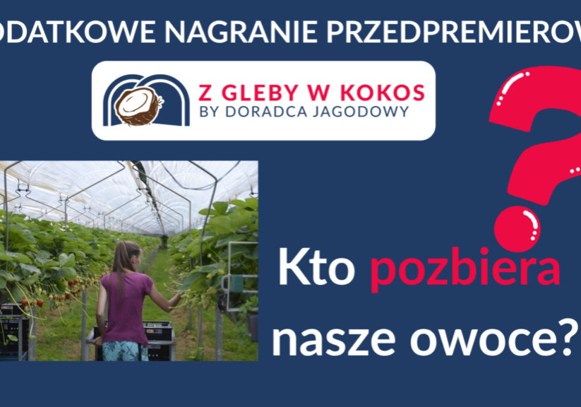 Kto pozbiera nasze owoce