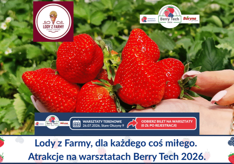 Lody z Farmy na Berry Tech 2026 duże