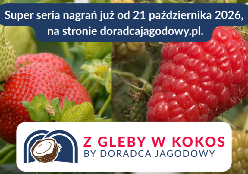 Obrazek 1 zapowiedź