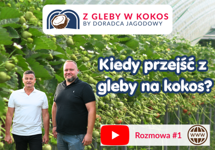 Obrazek rozmowa 1