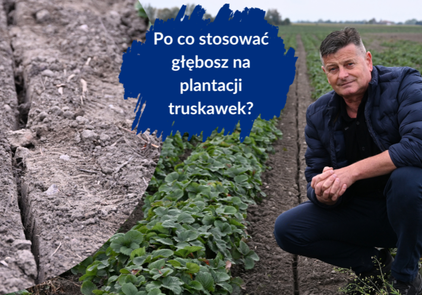 Po co stsować głębosz