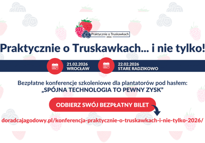 Praktycznie o Truskawkach plansza główna