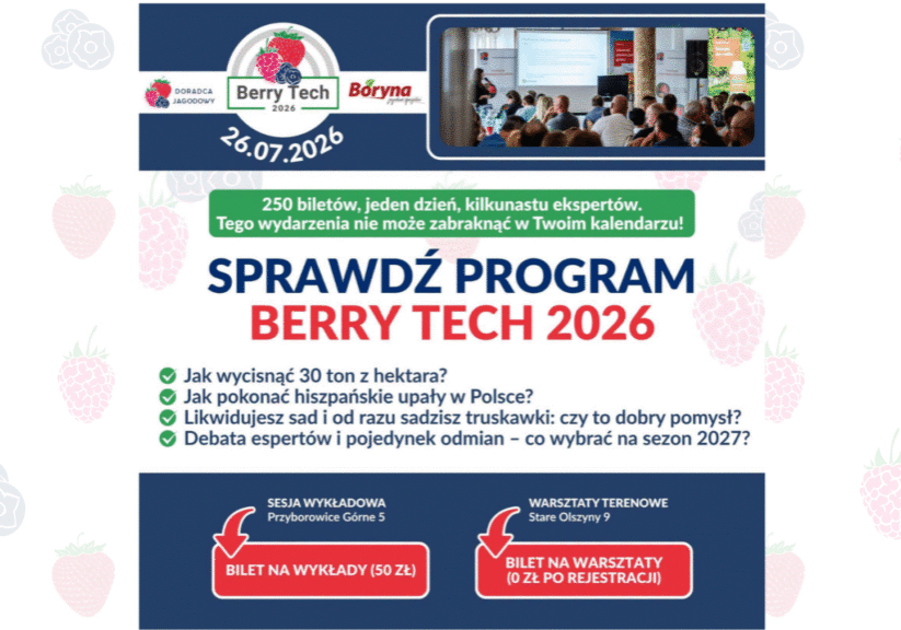 Znamy Program Berry tech 2026
