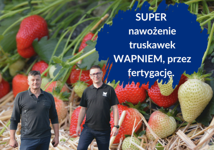 nawożenie wapniem - duza