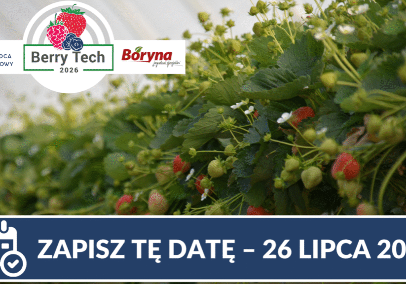 truskawka Berry Tech 2026 full